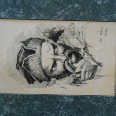 Tus, autor moldovean,Soroca 1931, Petre..., 24x14 cm, cu passepartout
