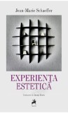 Experienta estetica &ndash; Jean-Marie Schaeffer