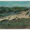 CPI B 11483 CARTE POSTALA - BUCURESTI. PARCUL LIBERTATII, RPR