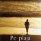 PE PLAJA CHESIL-IAN MCEWAN-278862