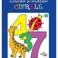 Colorăm și învățăm cifrele. Carte de colorat - Paperback - *** - Prestige