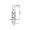 Bec Osram 64155 - 3