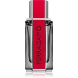 Ferragamo Ferragamo Red Leather Eau de Parfum pentru bărbați 100 ml