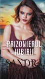 Sandra Brown - Prizonierul iubirii
