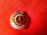 Insigna RPR - Sportiv categoria III , metal si email , d= 2,3cm