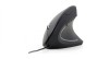 Mouse optic Gembird MUS-ERGO-01