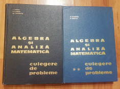 Algebra si analiza matematica. Culegere de probleme Donciu, Flondor (2 vol.) foto