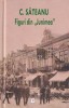 Figuri din Junimea - C. Săteanu, Studii Literare, Ed. Muzeelor Literare, 482 pagini, Hardcover