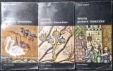 Istoria picturii bizantine, 3 vol - Viktor Lazarev (1980)