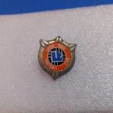 Insigna Luton Town F C