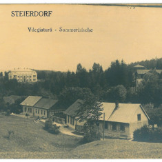 900 - ANINA, Caras-Severin, Panorama, Romania - old postcard, real Photo - used