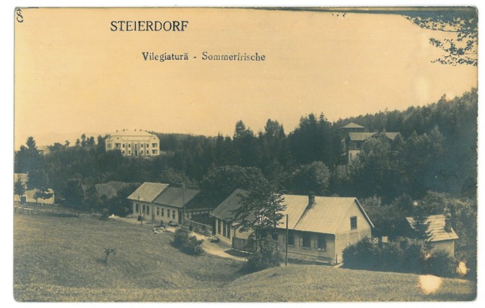 900 - ANINA, Caras-Severin, Panorama, Romania - old postcard, real Photo - used