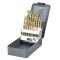 SET BURGHIE METAL HSS-TI 135&iuml;&iquest;&frac12; IN CUTIE 1-10MM - 19P.