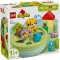 LEGO DUPLO SORTATOR DE FORME CASA PENTRU CATEI 10441