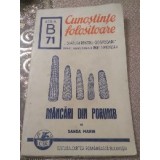 E. Cunoștințe Folositoare B71 mancari din porumb