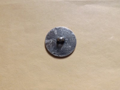 Austria - Nasture 1/4 Florin 1859 foto