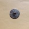 Austria - Nasture 1/4 Florin 1859