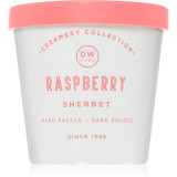 DW Home Creamery Raspberry Sherbet lum&acirc;nare parfumată 300 g