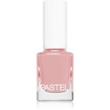 Pastel Nail Polish lac de unghii culoare 258 13 ml