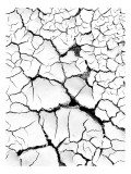 Tablou Canvas, "Tăr&acirc;m de păm&acirc;nt crăpat alb", Crăpături, Uscăciune, Deshidratare, Păm&acirc;nt, Contrast, Textură, Natură, Șocant, Alb-Negru, Linii, Fracturi