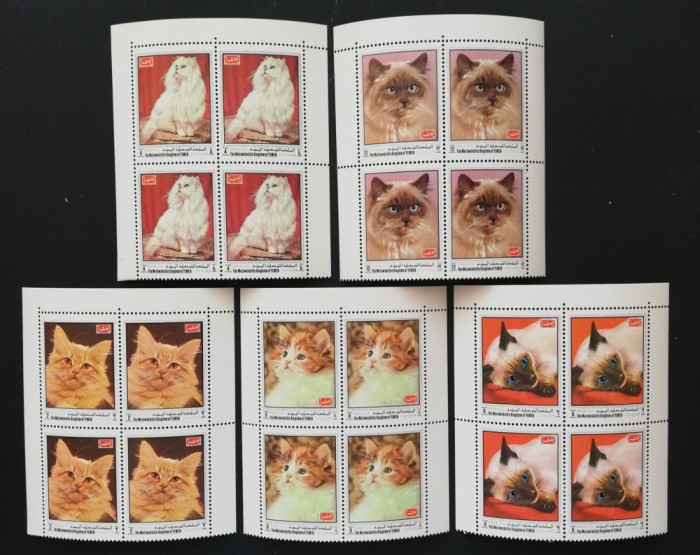 YEMEN K. - PISICI-serie 4 X 5 valori in BLOC-MNH**.- YK 009C