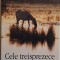Cele treisprezece chipuri ale lumii &ndash; Charles Frazier
