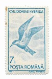 Pasari acvatice - uzuale, 1991 - 7 L, neobliterata, Fauna, Nestampilat