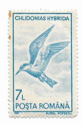 Pasari acvatice - uzuale, 1991 - 7 L, neobliterata foto