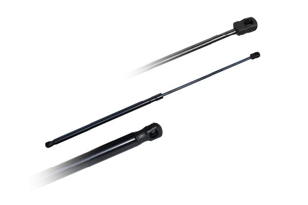 Amortizor Portbagaj 153164 79809