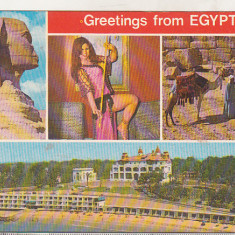 bnk cp Egipt - carte postala uzata