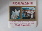 Brosura Ansamblul Folcloric Flori de Mina Cavnic Maramures - anii 80