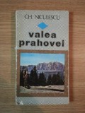 VALEA PRAHOVEI DE GH. NICULESCU , 1984