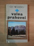 VALEA PRAHOVEI de GH. NICULESCU , 1984