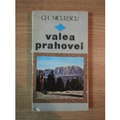 VALEA PRAHOVEI DE GH. NICULESCU , 1984