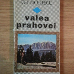 VALEA PRAHOVEI DE GH. NICULESCU , 1984