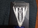fanion C S Jiul Petrosani