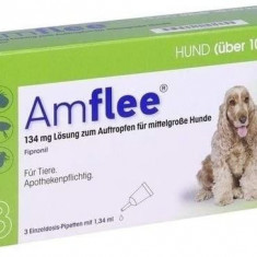 Amflee Dog 3 Pipete x 134 mg - M (10-20 kg)