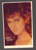 CPIB 23758 CARTE POSTALA - FOTOGRAFIE - BROOKE SHIELDS, NECIRCULATA