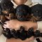 Vand pui Rottweiler