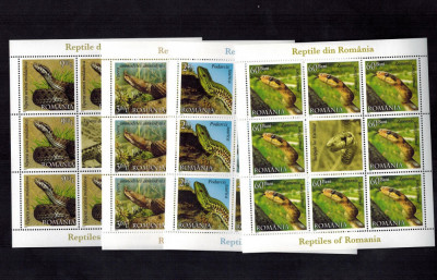 Romania 2011 4 Minicoli 8 timbre + vinieta Serie MNH Reptile Fauna LP 1887 d foto