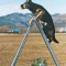 Schutzhund: Theory and Training Methods