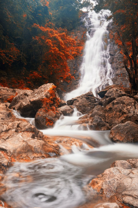 Tablou canvas Cascada35, 40 x 60 cm