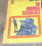 LITR23 In umbra celuilant