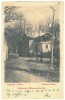 195 - MARAMURES, Litho, Romania - old postcard - unused - 1902, Necirculata, Printata