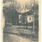 195 - MARAMURES, Litho, Romania - old postcard - unused - 1902
