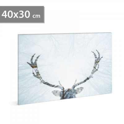 Tablou decorativ LED, cu ren &amp;ndash; 40 x 30 cm foto