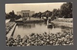 CPIB 19653 CARTE POSTALA - EFORIE SUD. VEDERE DIN PARC