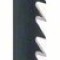 Bosch Set 5 panze ferastrau vertical T 344 DP Precision for Wood, 152mm ProAdvanced PowerfulTools