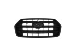 Grila radiator Ford Transit, 10.2019-, model: Transit, montare fata, negru, RapidAuto