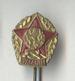 Insigna veche militara Cehia - SVAZARM - ANII 1970